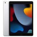 Tablet Apple iPad 10.20" Apple A13 3.0GB/64GB, LTE, srebrny