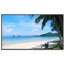 Monitor 43.0" Dahua Technology LM43-F400 czarny