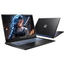Laptop Dream Machines 17.3" Intel Core i5-13420H NVIDIA GeForce RTX 5050 16GB 512GB SSD czarny