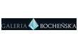 Galeria Bocheńska