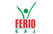 Ferio Gaj