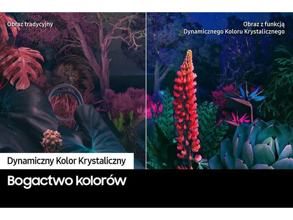 Telewizor Samsung UE43CU8002K 43" 4K Ultra HD