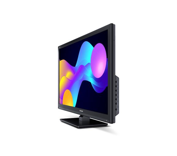 Telewizor Sharp 24EE3E 24" HD Ready
